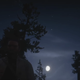 Illustration for article titled iRed Dead Redemption 2/i inspires wistful new song, The Moon Made Me Shit My Pants